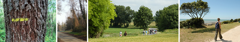 randonnee pedestre royan