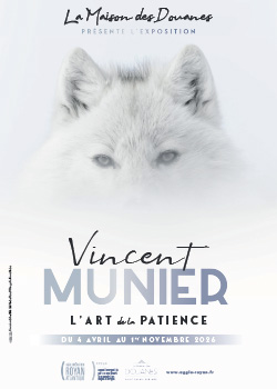 Vincent Munier, L'art&nbsp;de&nbsp;la&nbsp;patience