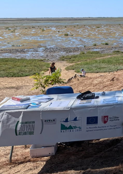 Observatoire des oiseaux