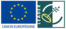UE