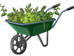 Conseils et astuces pour le jardin